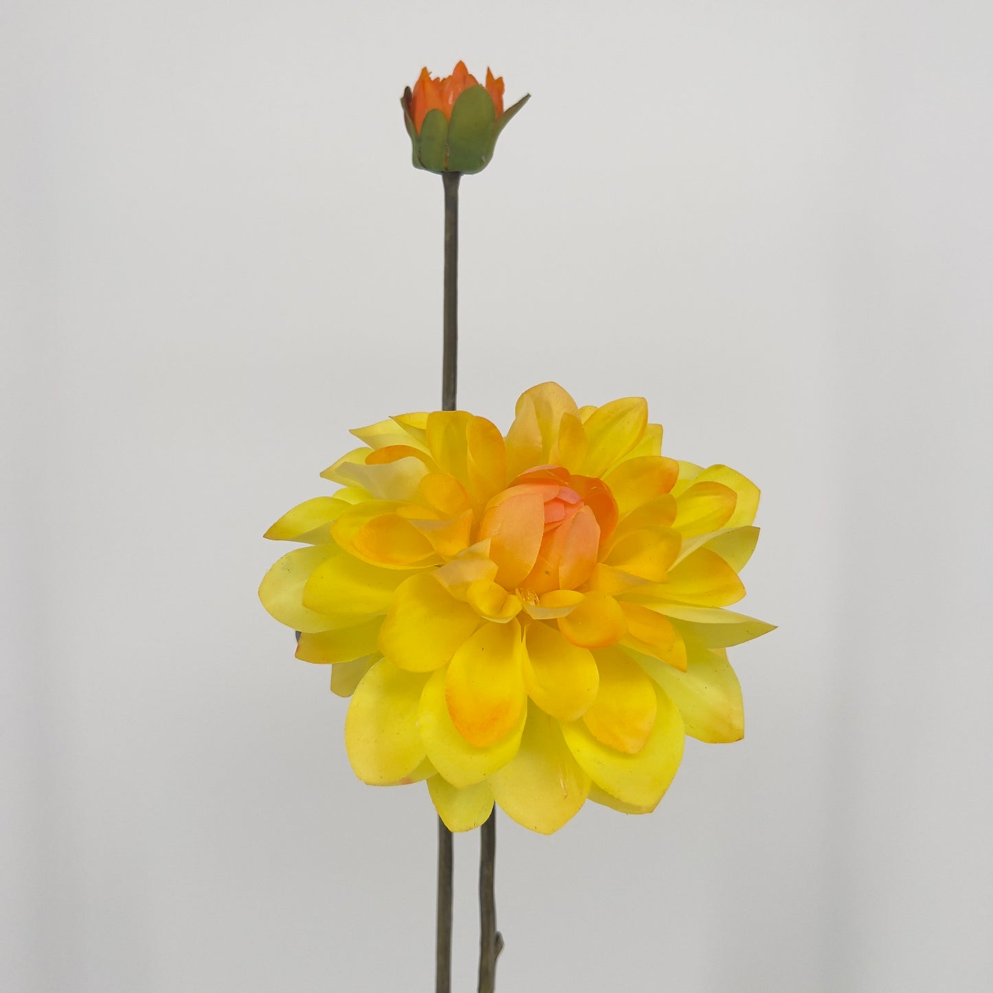 Silk-ka kunst Dahlia's in 6 prachtige intense kleuren, 86cm