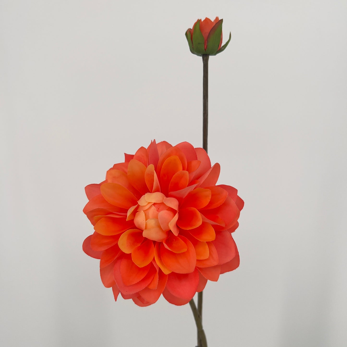 Silk-ka kunst Dahlia's in 6 prachtige intense kleuren, 86cm