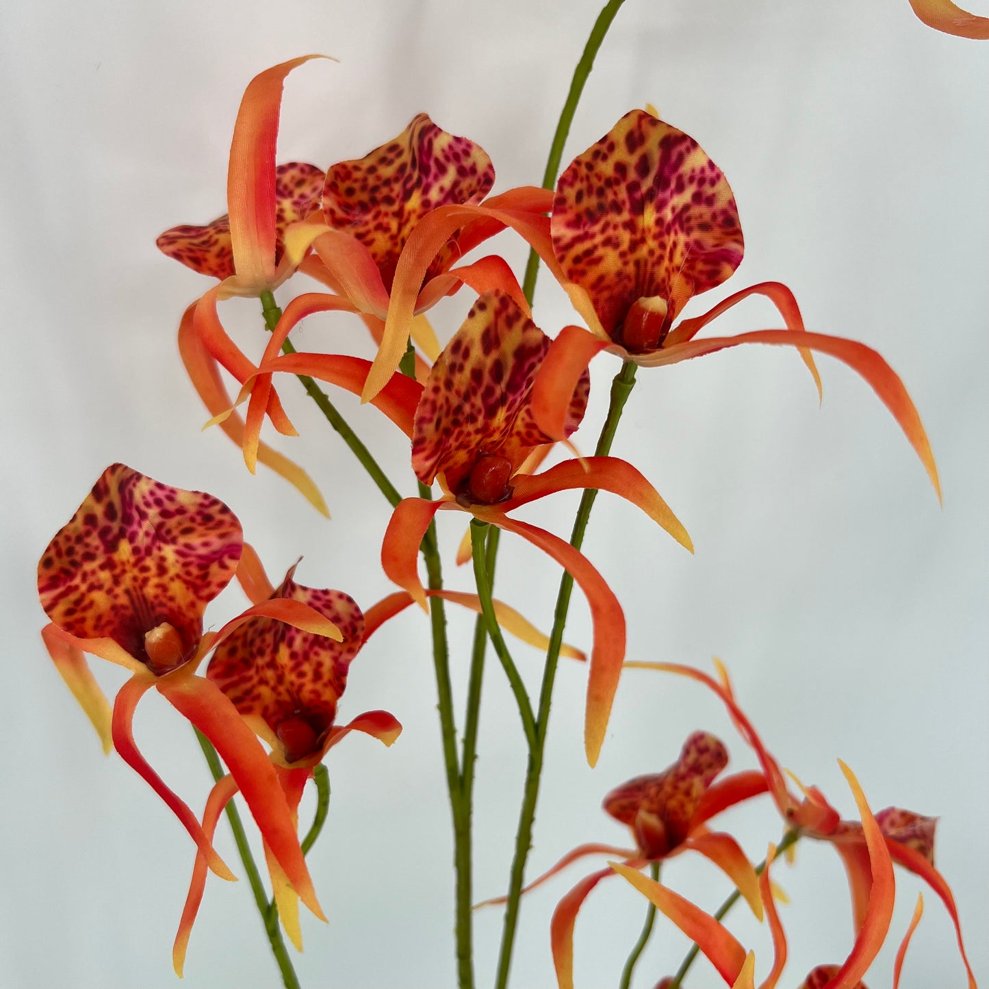 Silk-ka Orchidee in de kleuren oranje, paars/roze en beauty, 108cm
