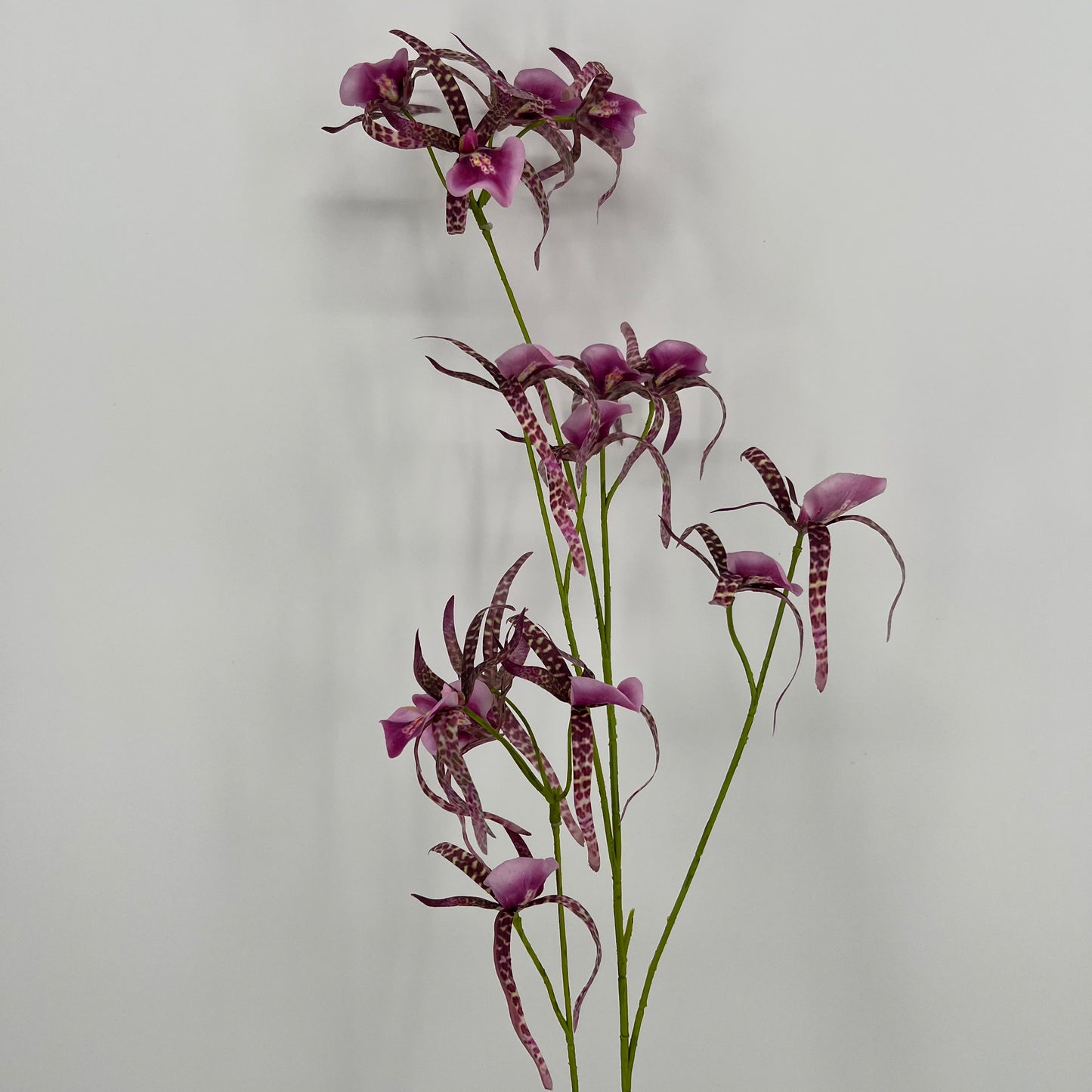 Silk-ka Orchidee in de kleuren oranje, paars/roze en beauty, 108cm