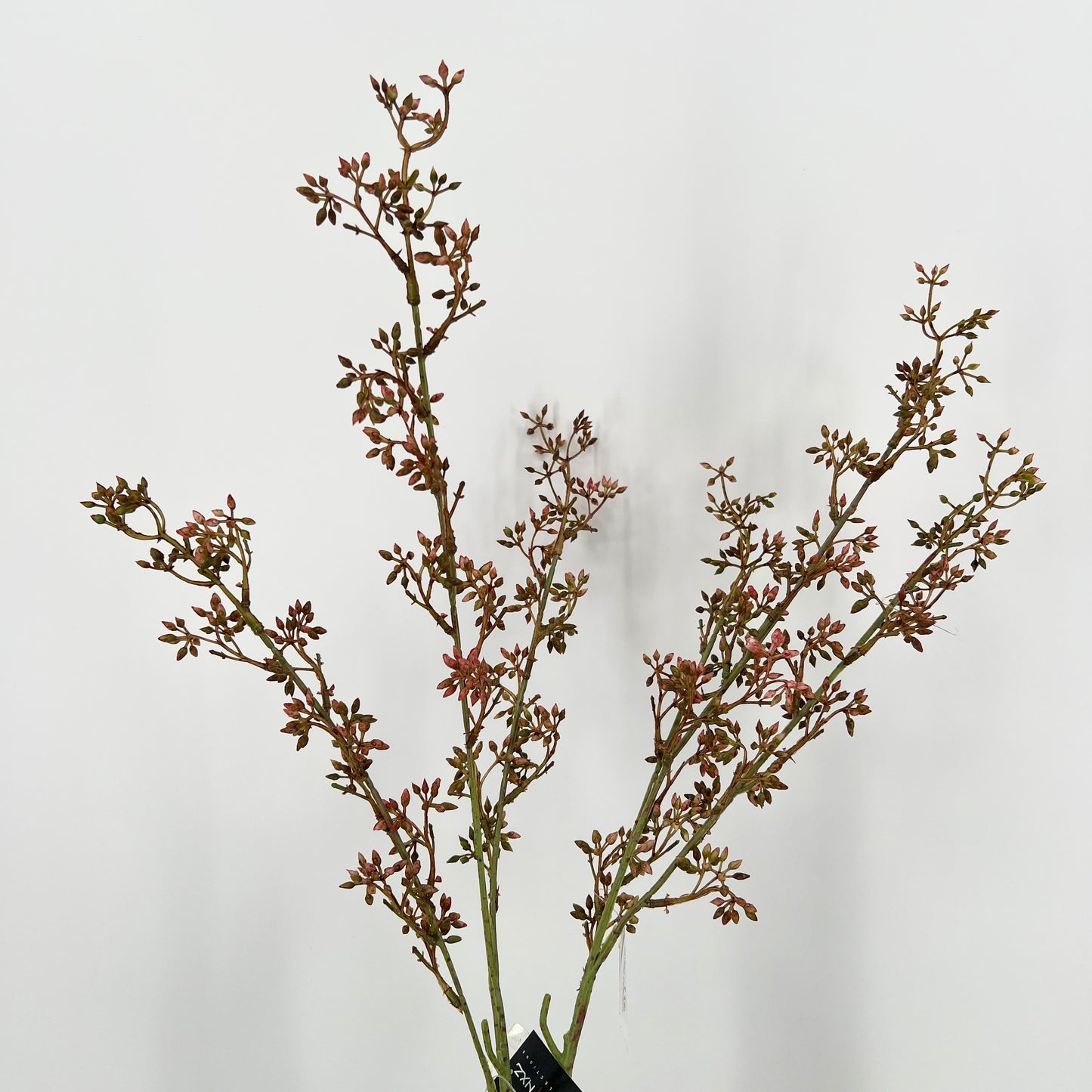 Ligustrum flower brown kunsttak BRYNXZ, 80cm