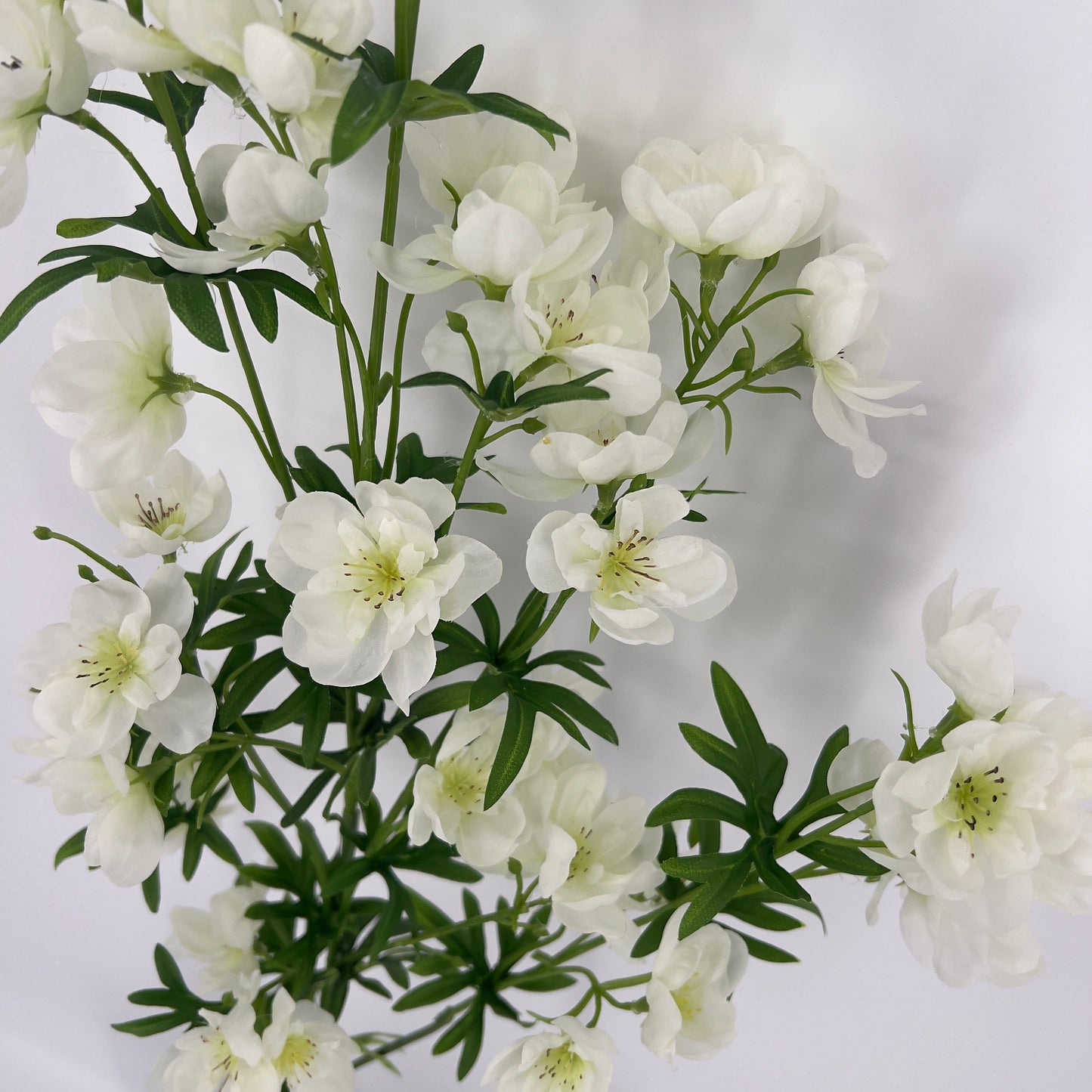 Ridderspoor uitbundige spray Utah, 123cm
