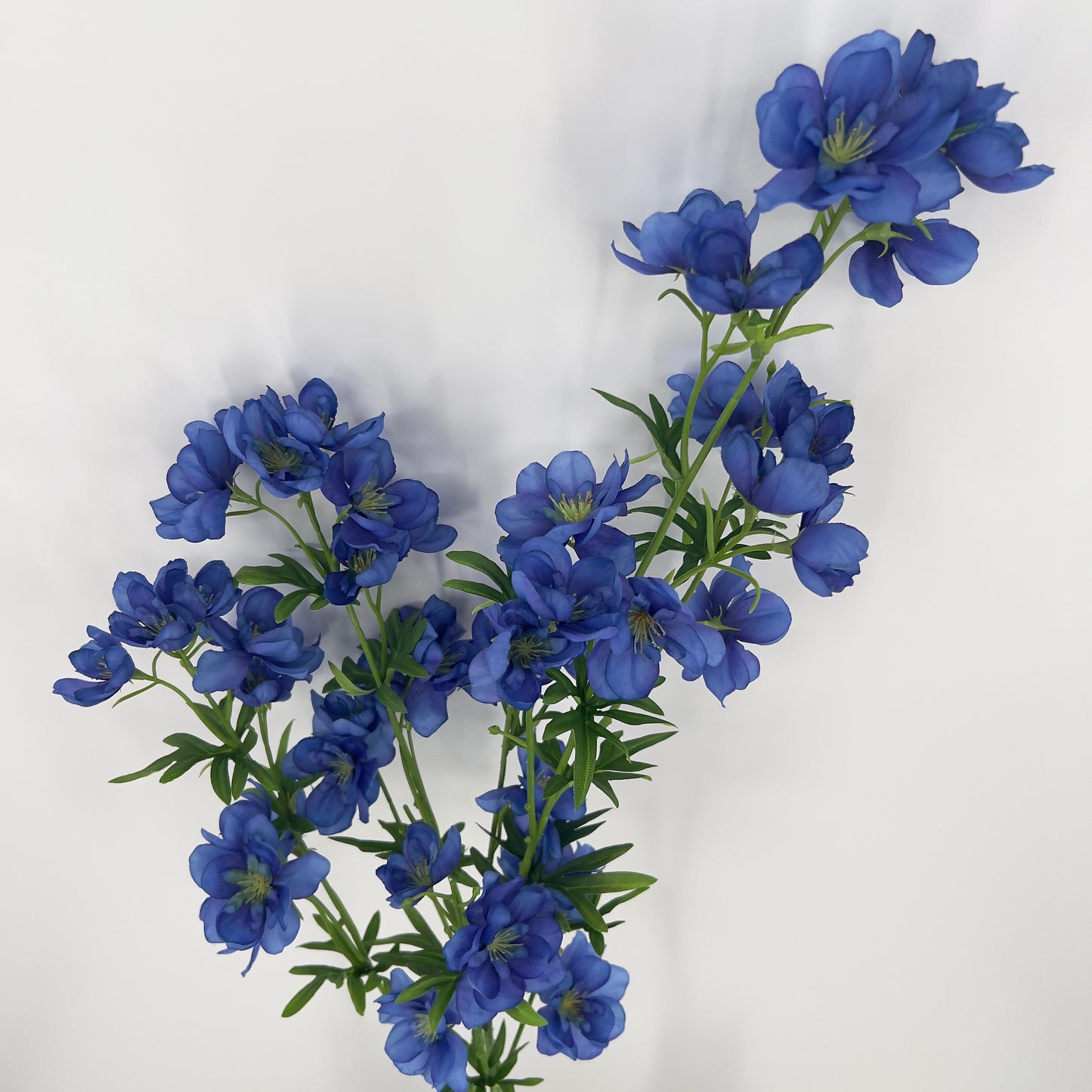 Ridderspoor uitbundige spray Utah, 123cm