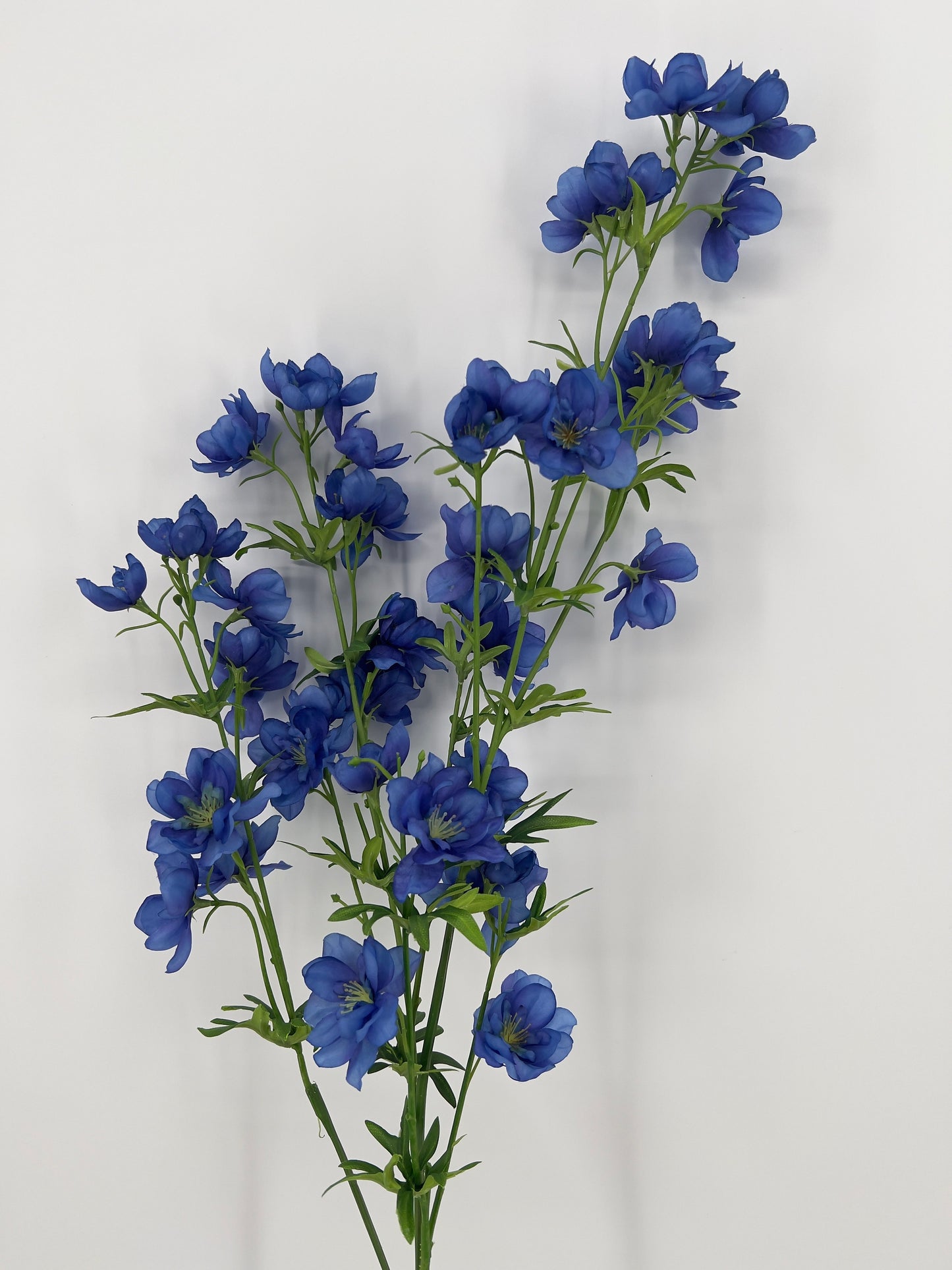 Ridderspoor uitbundige spray Utah, 123cm