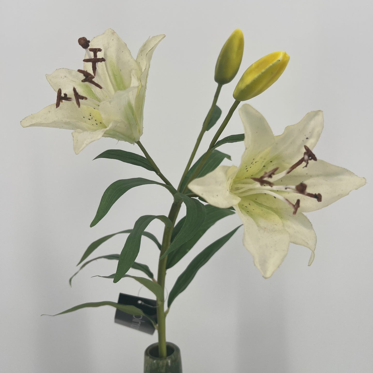 Witte kunst Lelie van Colmore, 79cm