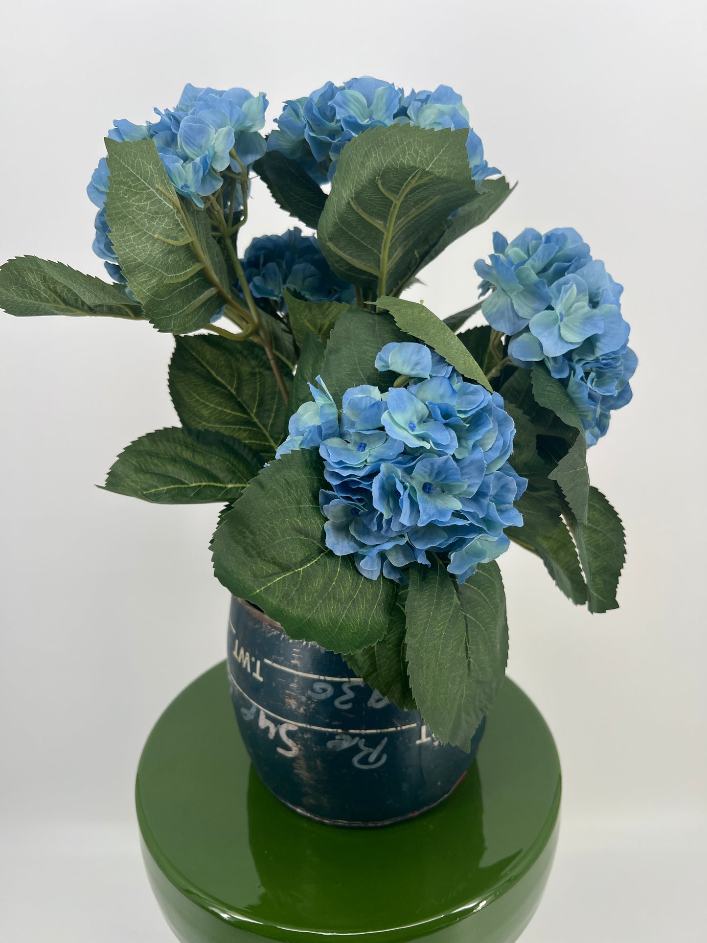 Hortensia in pot diverse kleuren, ruim 40cm