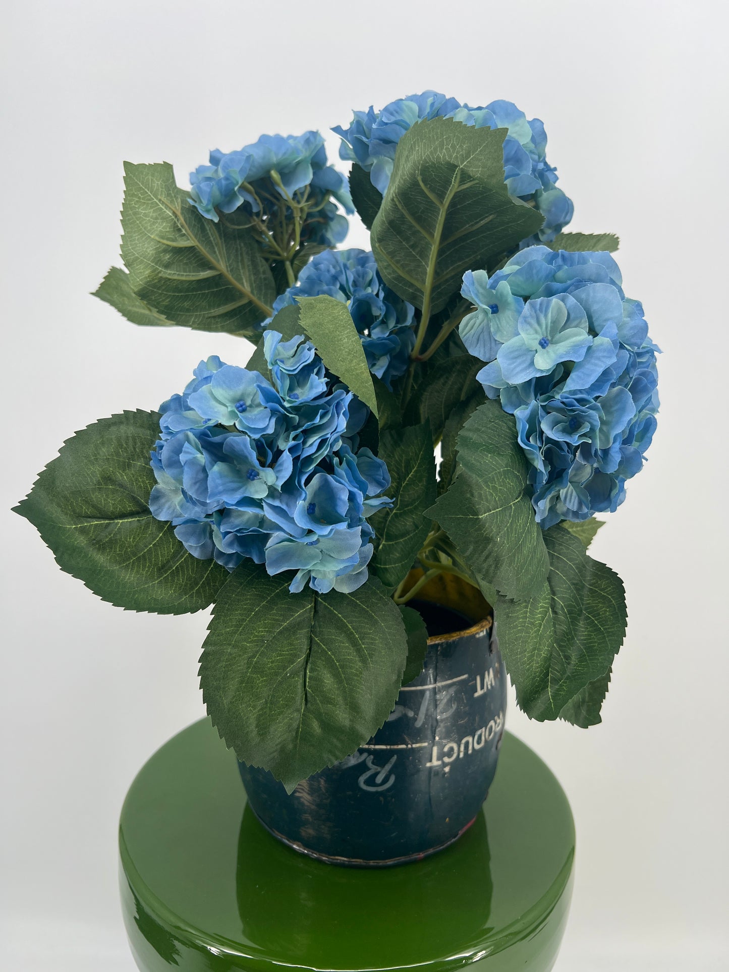 Hortensia in pot diverse kleuren, ruim 40cm