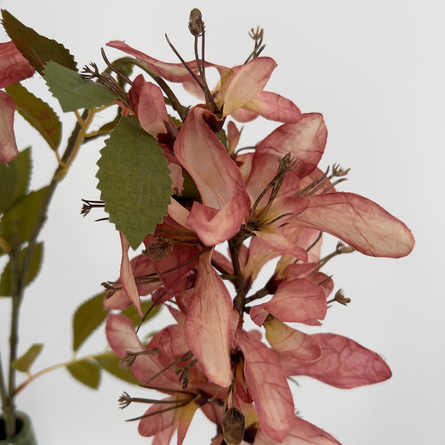 Wisteria antiek pink, 100cm