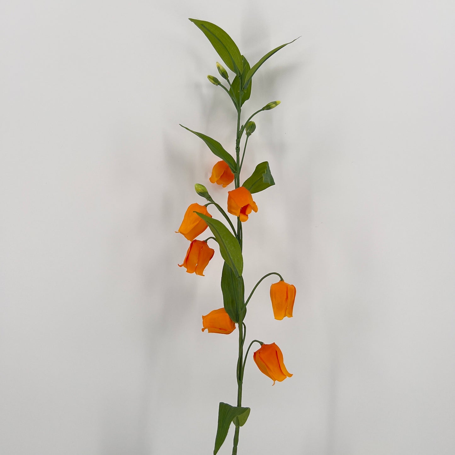 Tak Sandersonia 95cm licht oranje