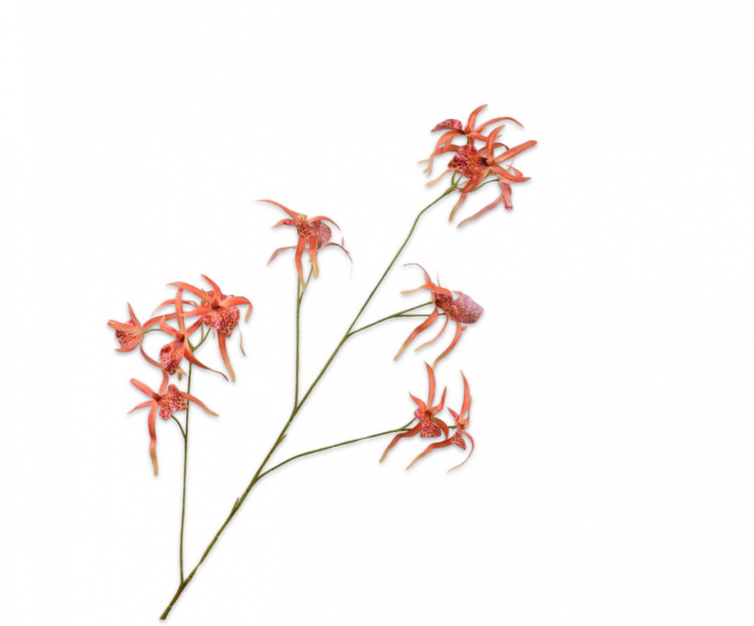 Silk-ka Orchidee in de kleuren oranje, paars/roze en beauty, 108cm
