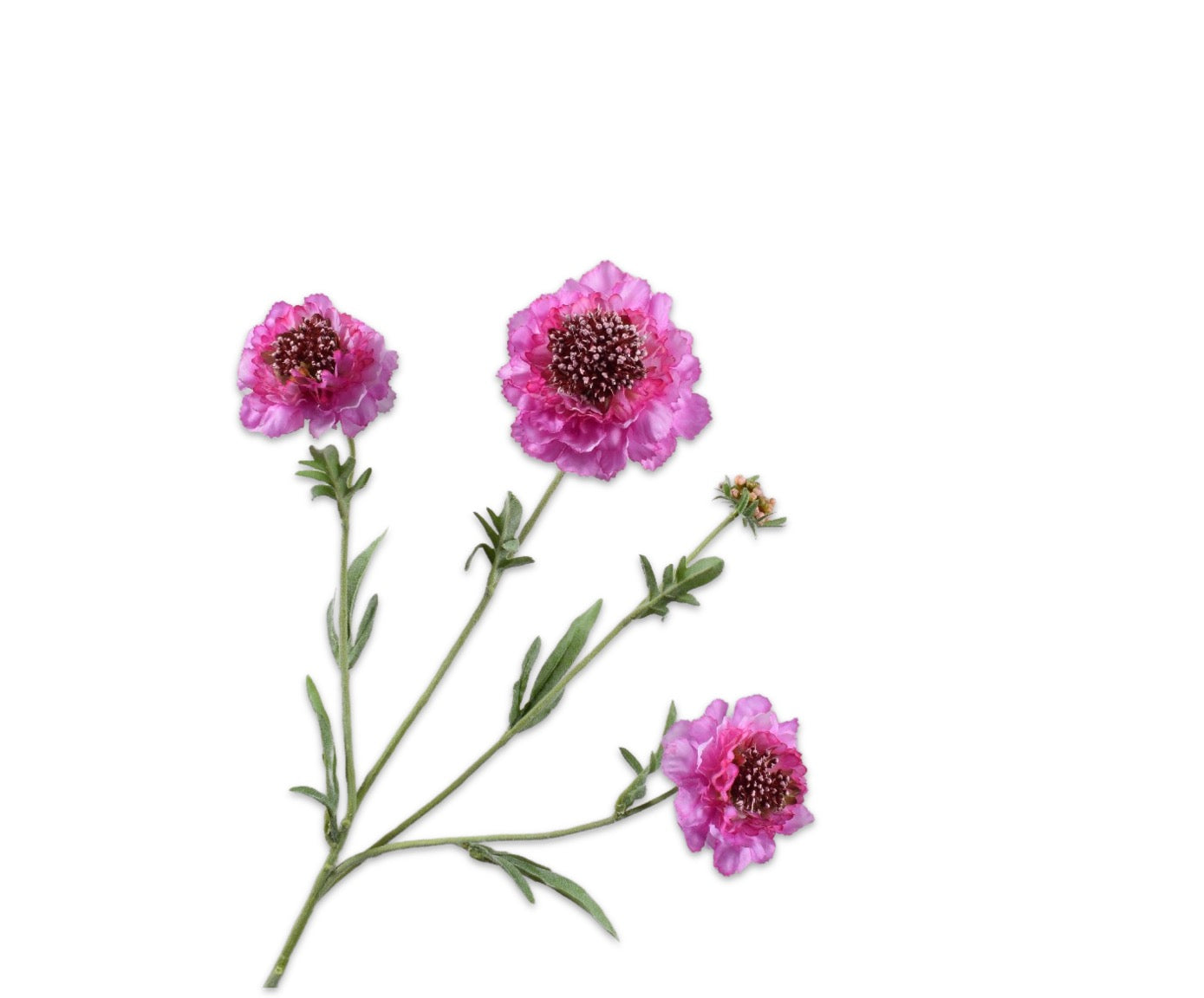 Silk-ka Scabiosa 3 bloemen en een knopje in lila of lavendel, 80cm