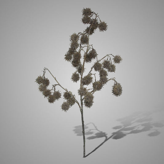 Fall faux quatro fructus, 95cm
