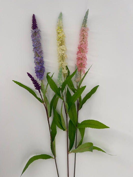 Tak Veronica, 76cm