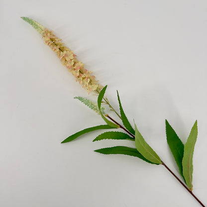 Tak Veronica, 76cm