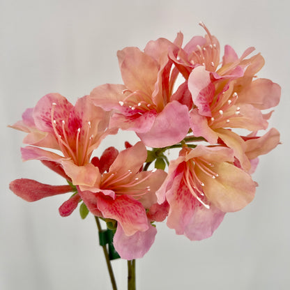 Silk-ka Rhododendron tak, 82cm