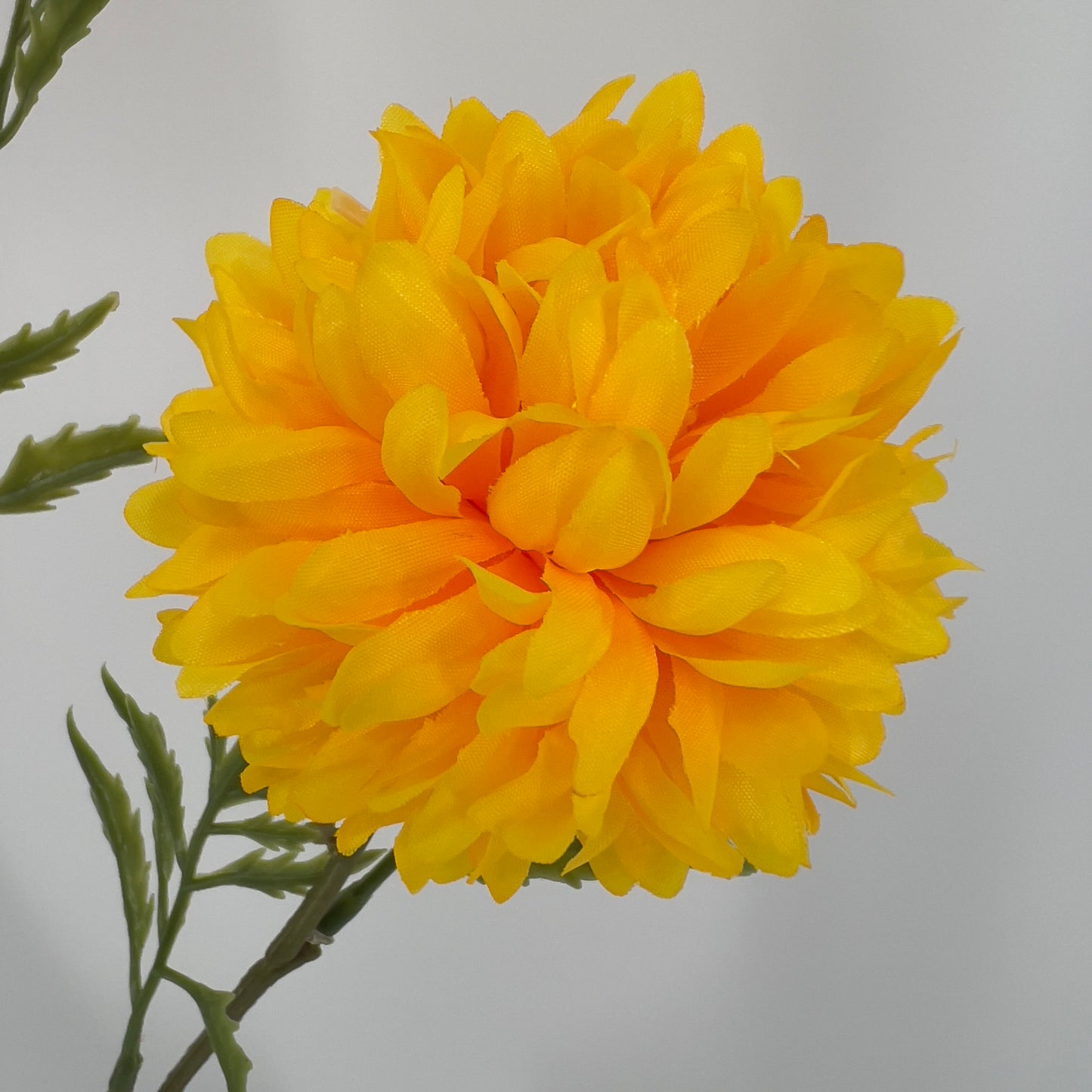 Tagetes tak 80cm geel, oranje of rood x3, 80cm