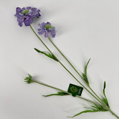 Silk-ka kunstbloem Scabiosa, 64cm