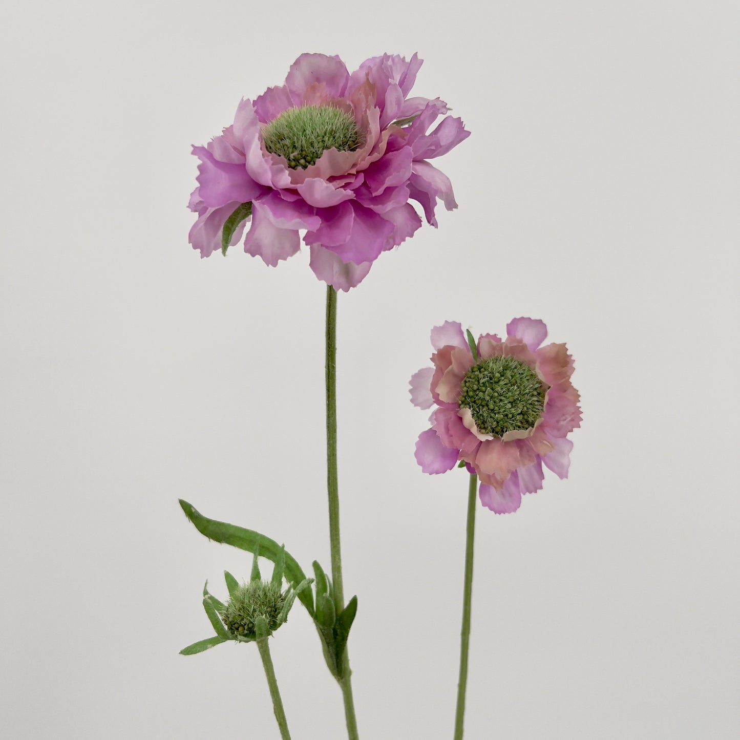 Silk-ka kunstbloem Scabiosa, 64cm