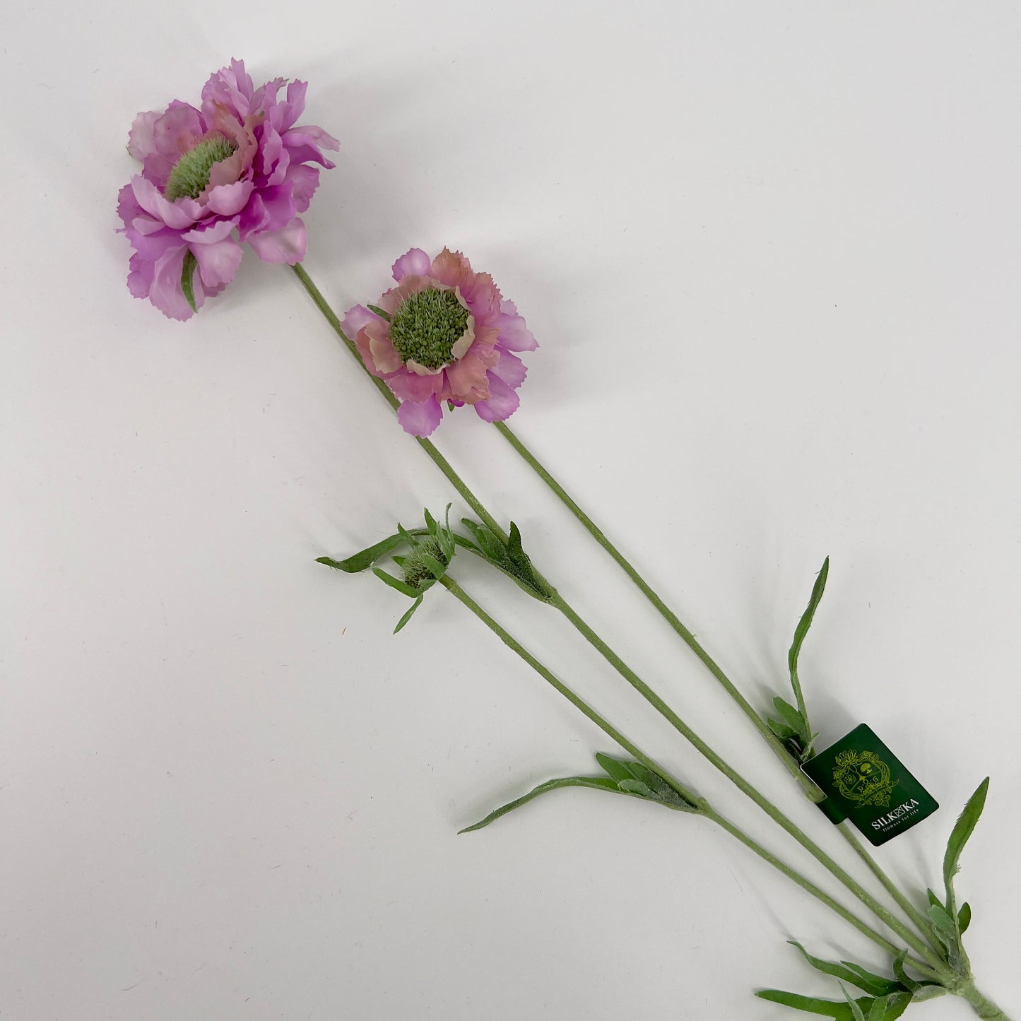 Silk-ka kunstbloem Scabiosa, 64cm
