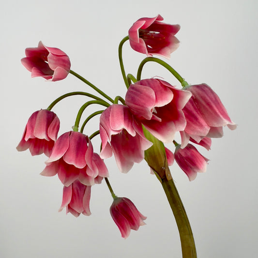 Silk-ka Allium in roze , 68cm