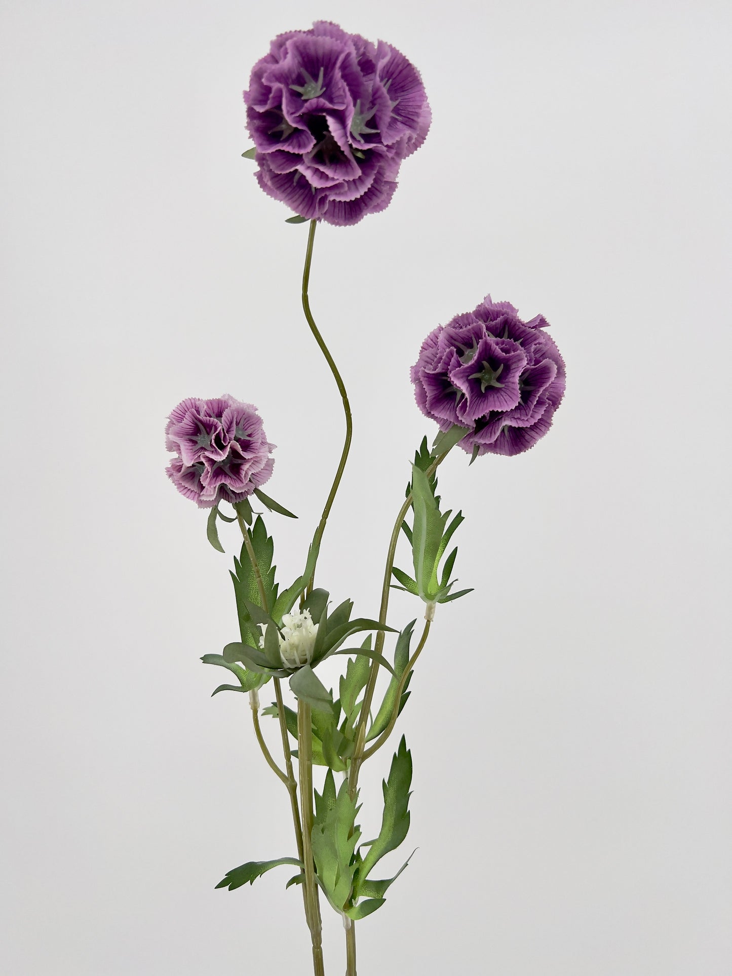 Scabiosa spray x3 paars of oud roze, 72cm