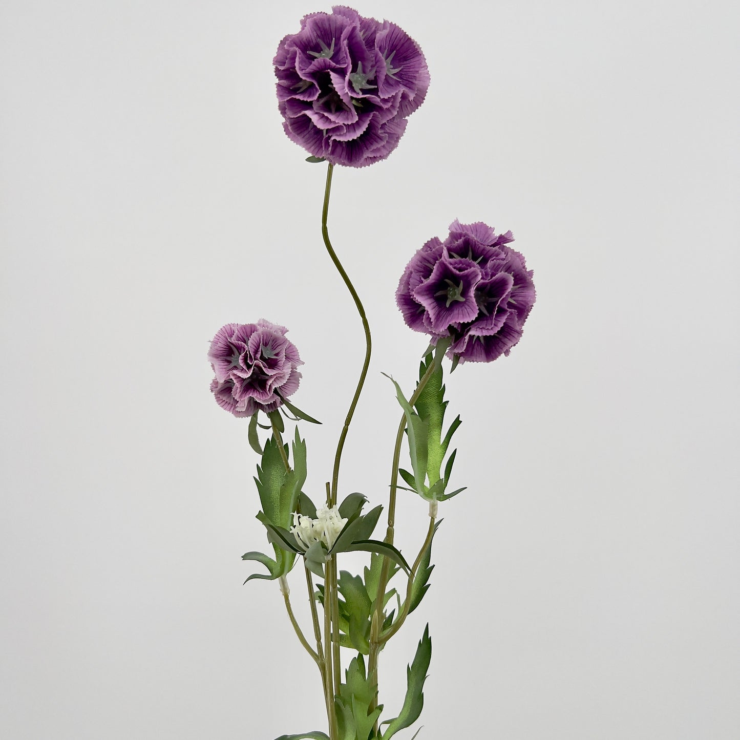 Scabiosa spray x3 paars of oud roze, 72cm