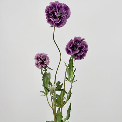 Scabiosa spray x3 paars of oud roze, 72cm