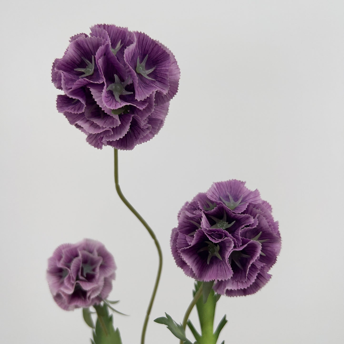 Scabiosa spray x3 paars of oud roze, 72cm