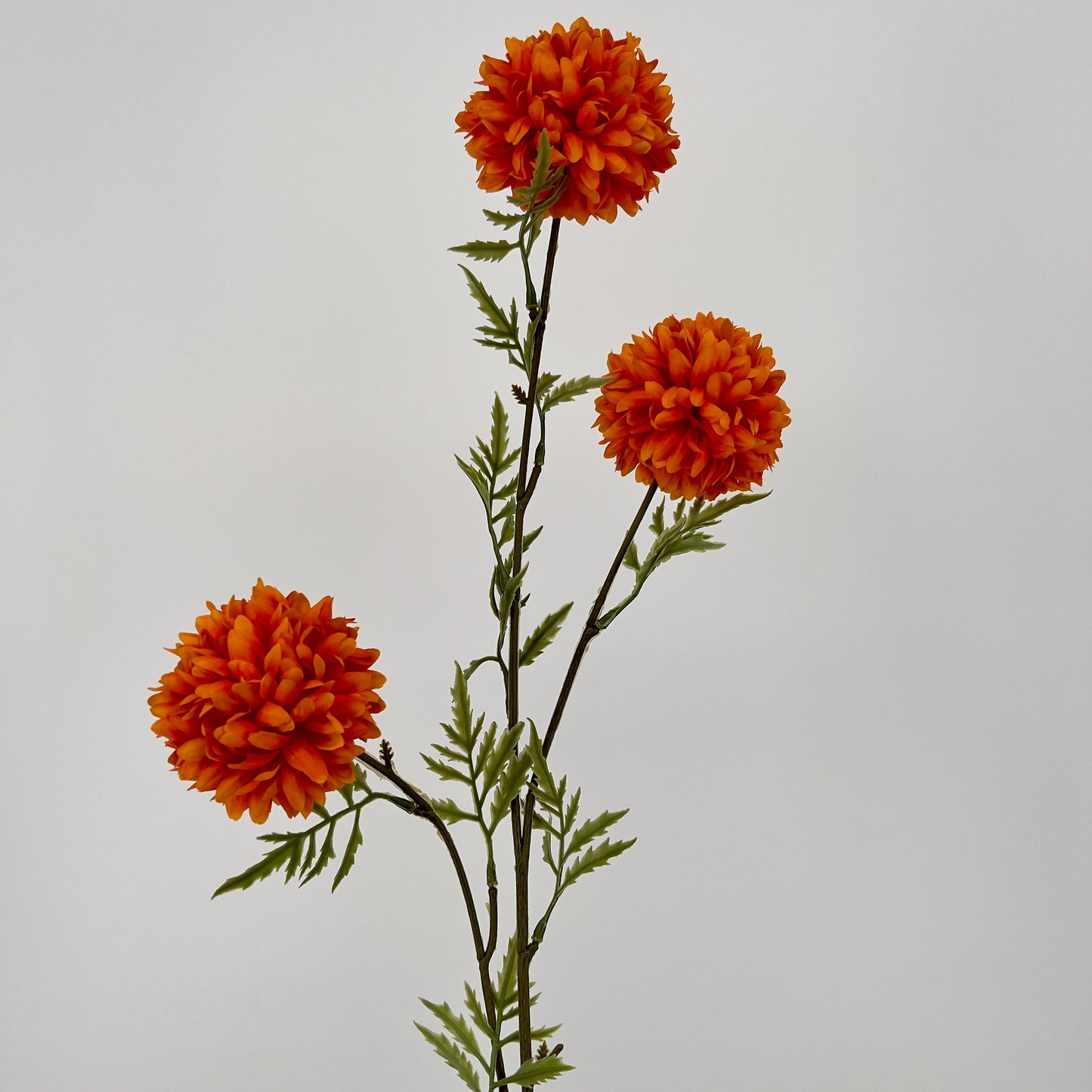 Tagetes tak 80cm geel, oranje of rood x3, 80cm