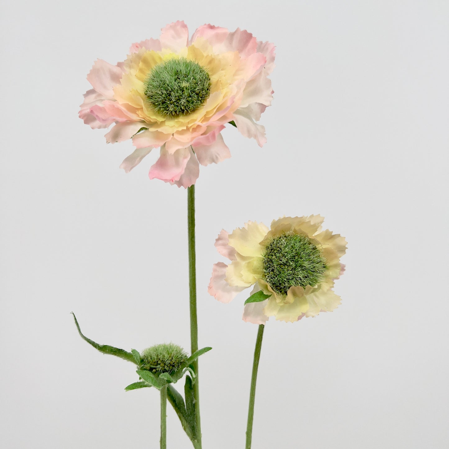 Silk-ka kunstbloem Scabiosa, 64cm