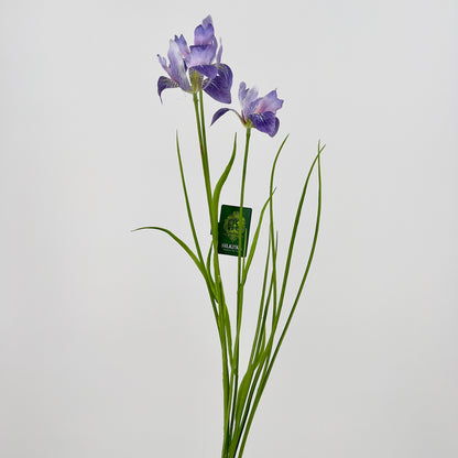 Silk-ka Iris in paars en paars/lavendel, 71cm