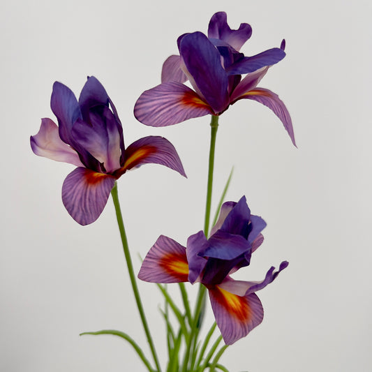 Silk-ka Iris in paars en paars/lavendel, 71cm