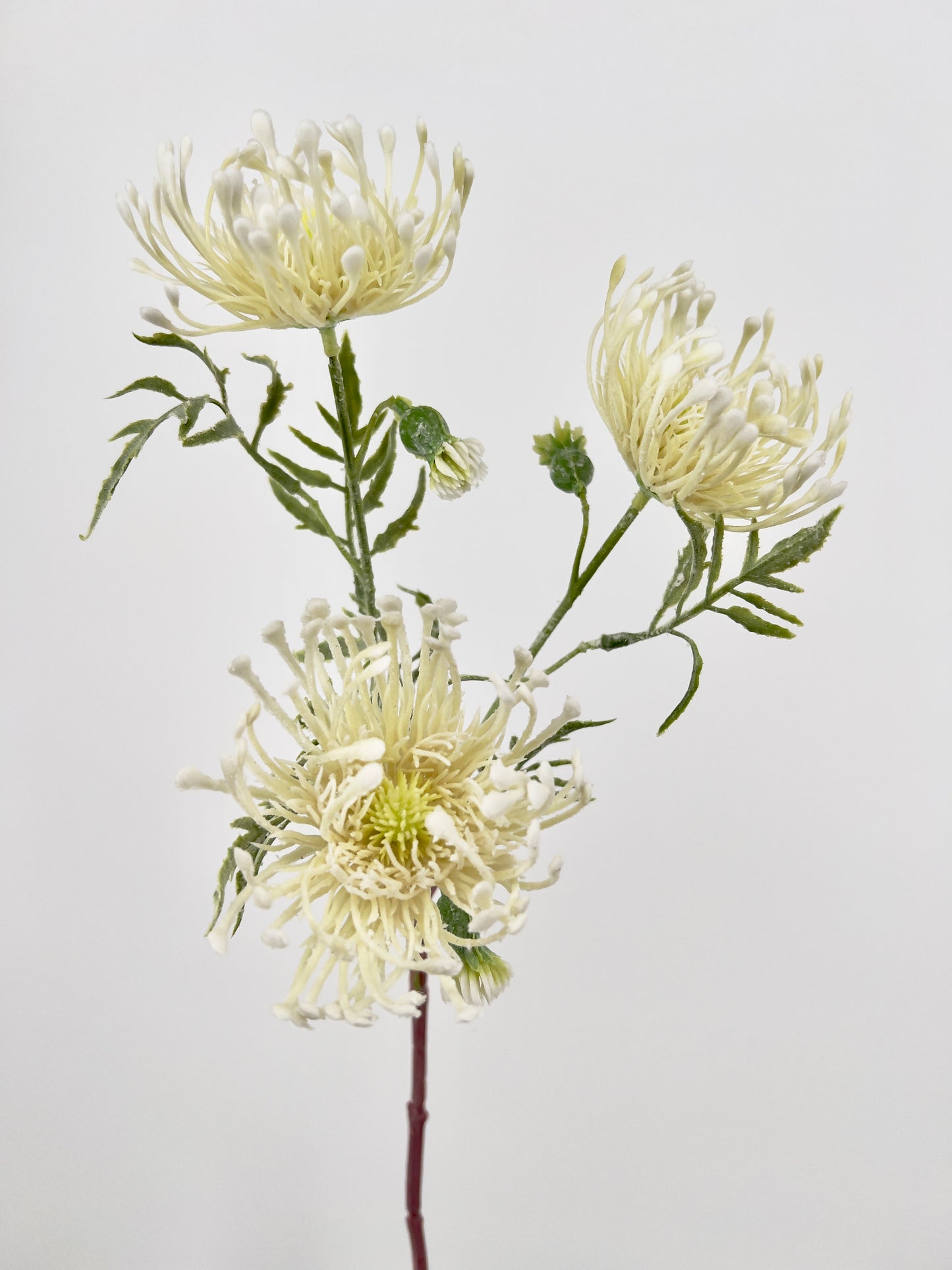 Kunsttak Distel spray in crème, 62cm