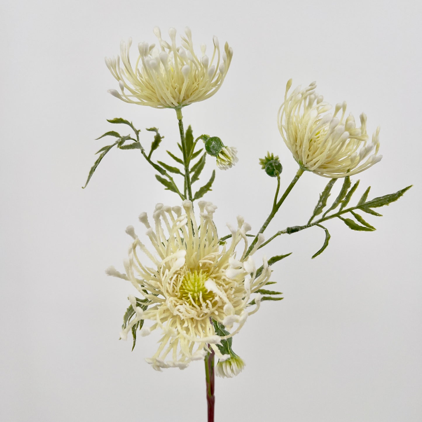 Kunsttak Distel spray in crème, 62cm