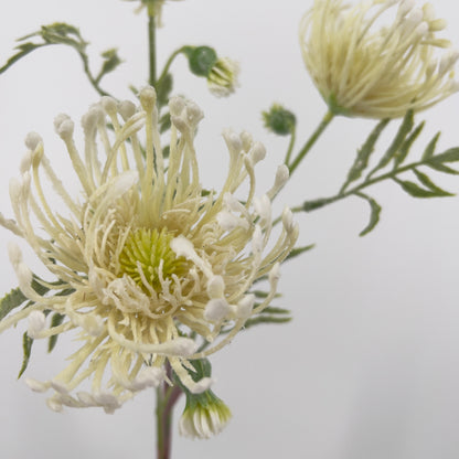 Kunsttak Distel spray in crème, 62cm