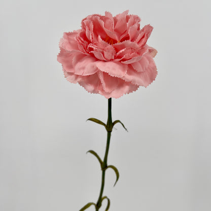 Kunsttak Carnation/Anjer in roze, 60cm