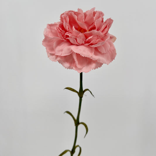Kunsttak Carnation/Anjer in roze, 60cm