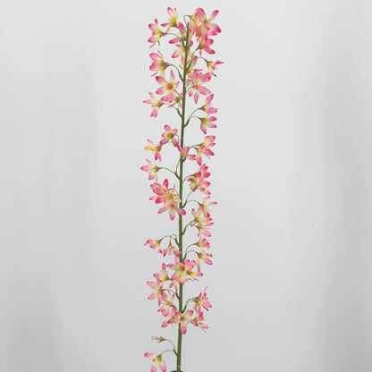 Deutzia spray beauty, crème of lavendel, 100cm