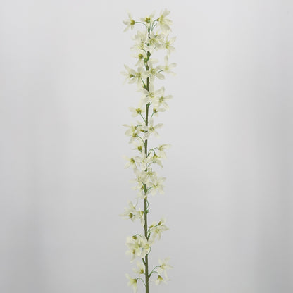 Deutzia spray beauty, crème of lavendel, 100cm