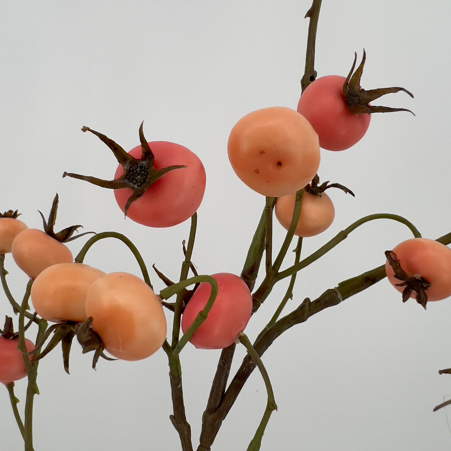 Rozenbottel/Rosehip tak in perzik geel/roze, 102cm