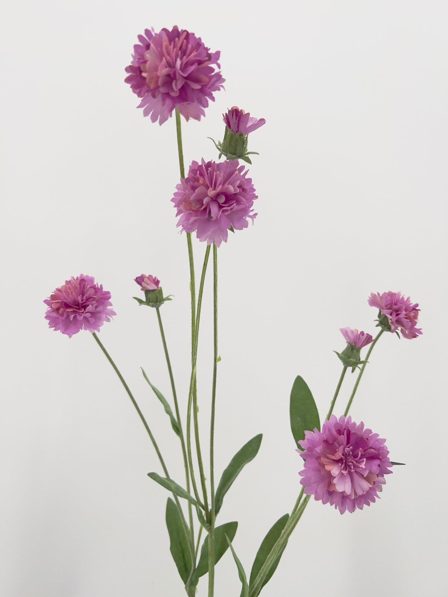 Silk-ka Korenbloem, 90cm