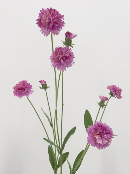 Silk-ka Korenbloem, 90cm