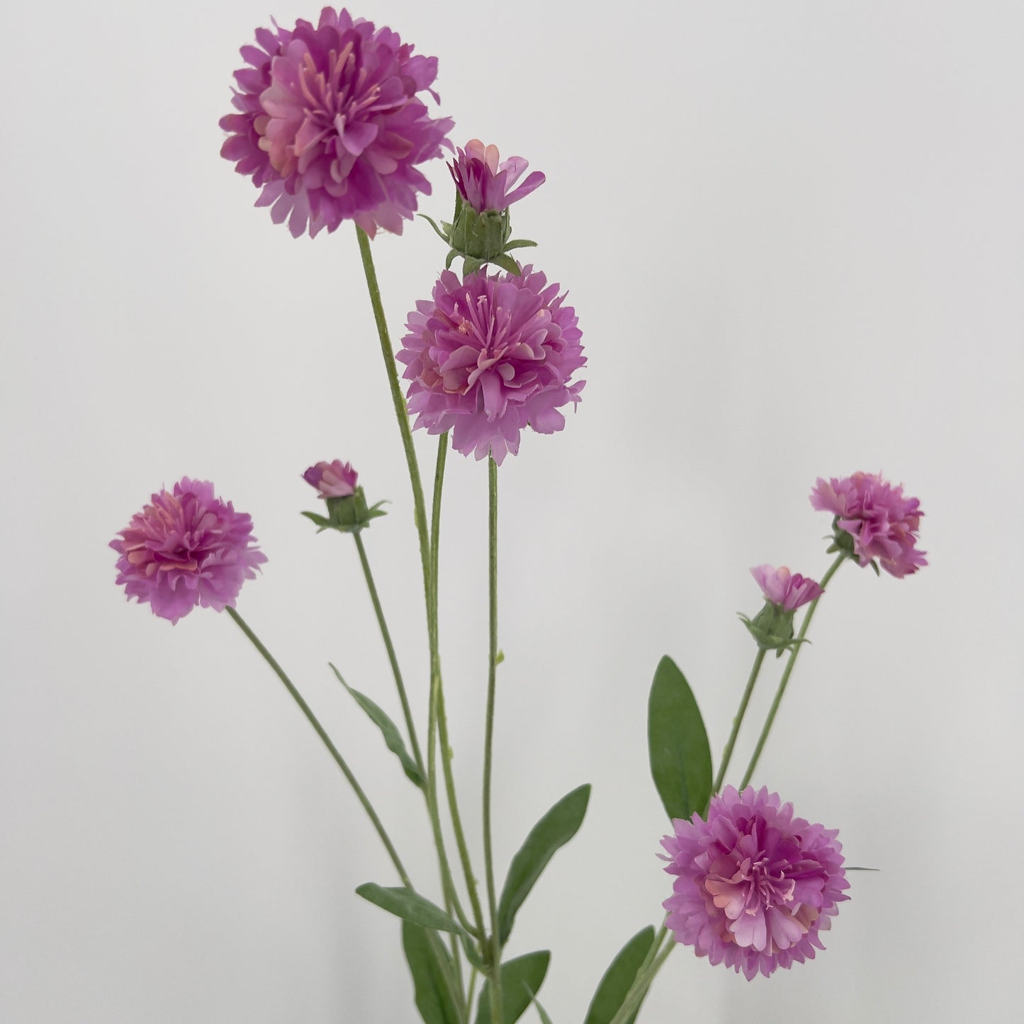 Silk-ka Korenbloem, 90cm