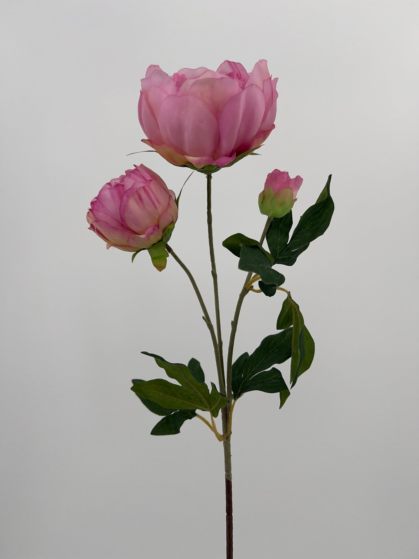 Kunsttak Pioenroos spray in roze, lichtroze of wit, 70cm