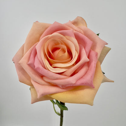 Kunstbloem Roos/Rosa/Rose in licht en donker peach, 71cm