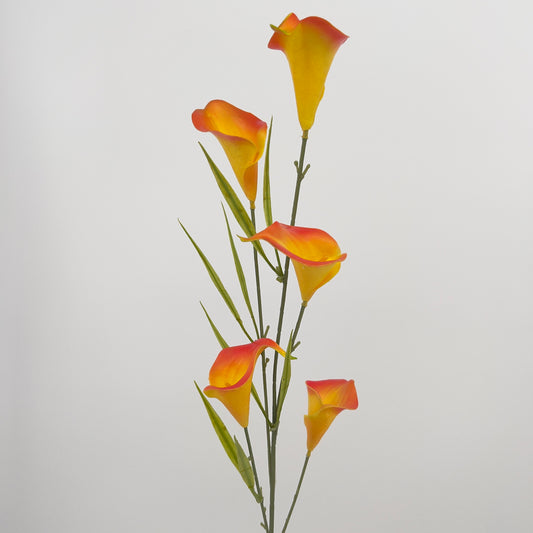 Calla spray met 5 bloemen in diverse kleuren, 85cm