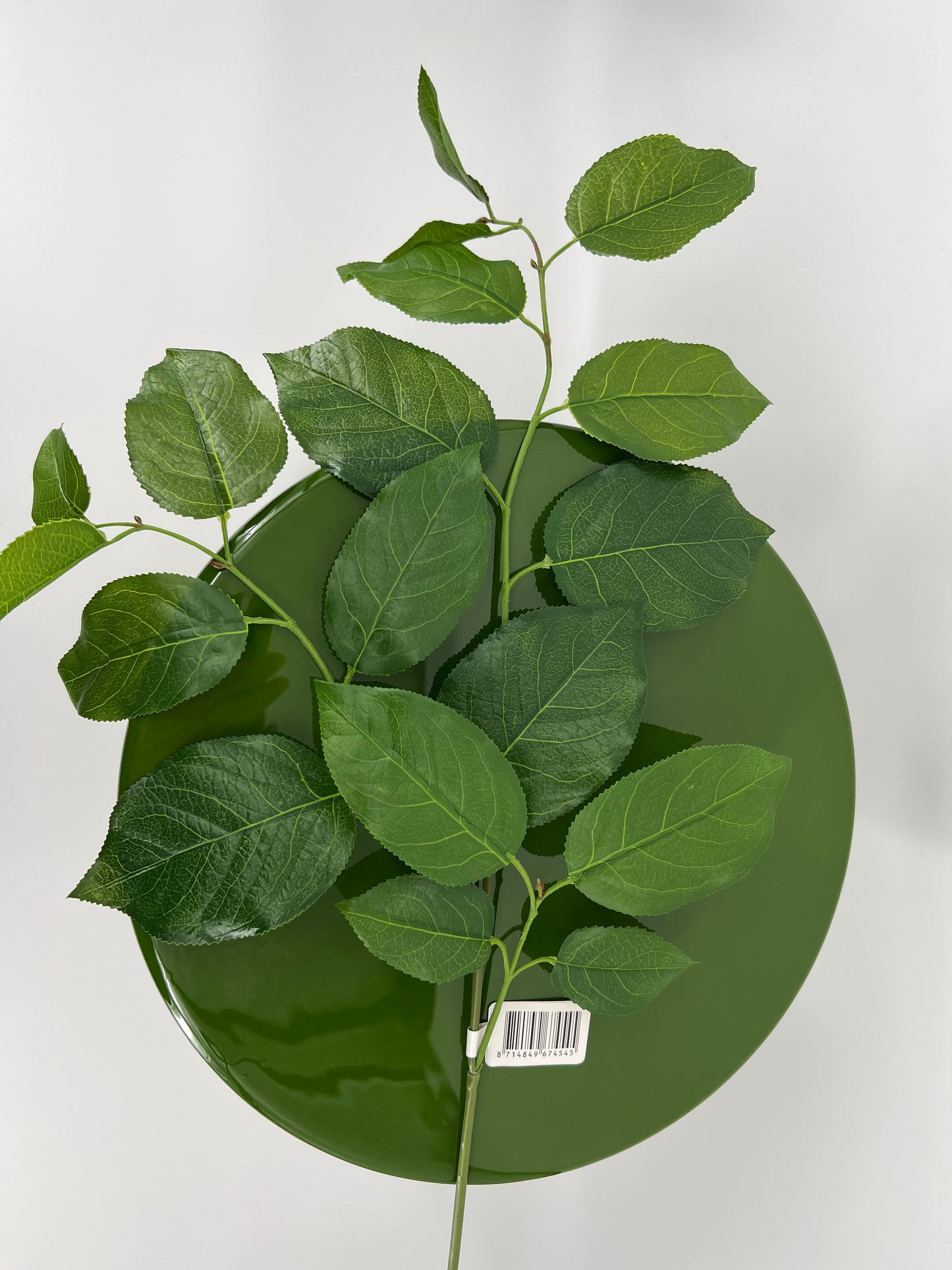 Salal leaf spray, 79cm