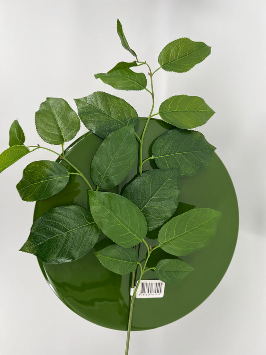 Salal leaf spray, 79cm
