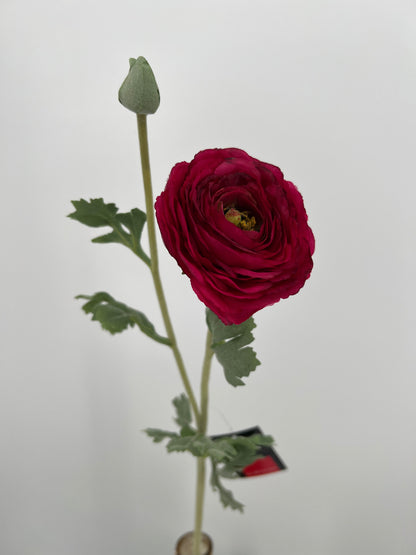 Flower Ranunculus dark pink, 68cm