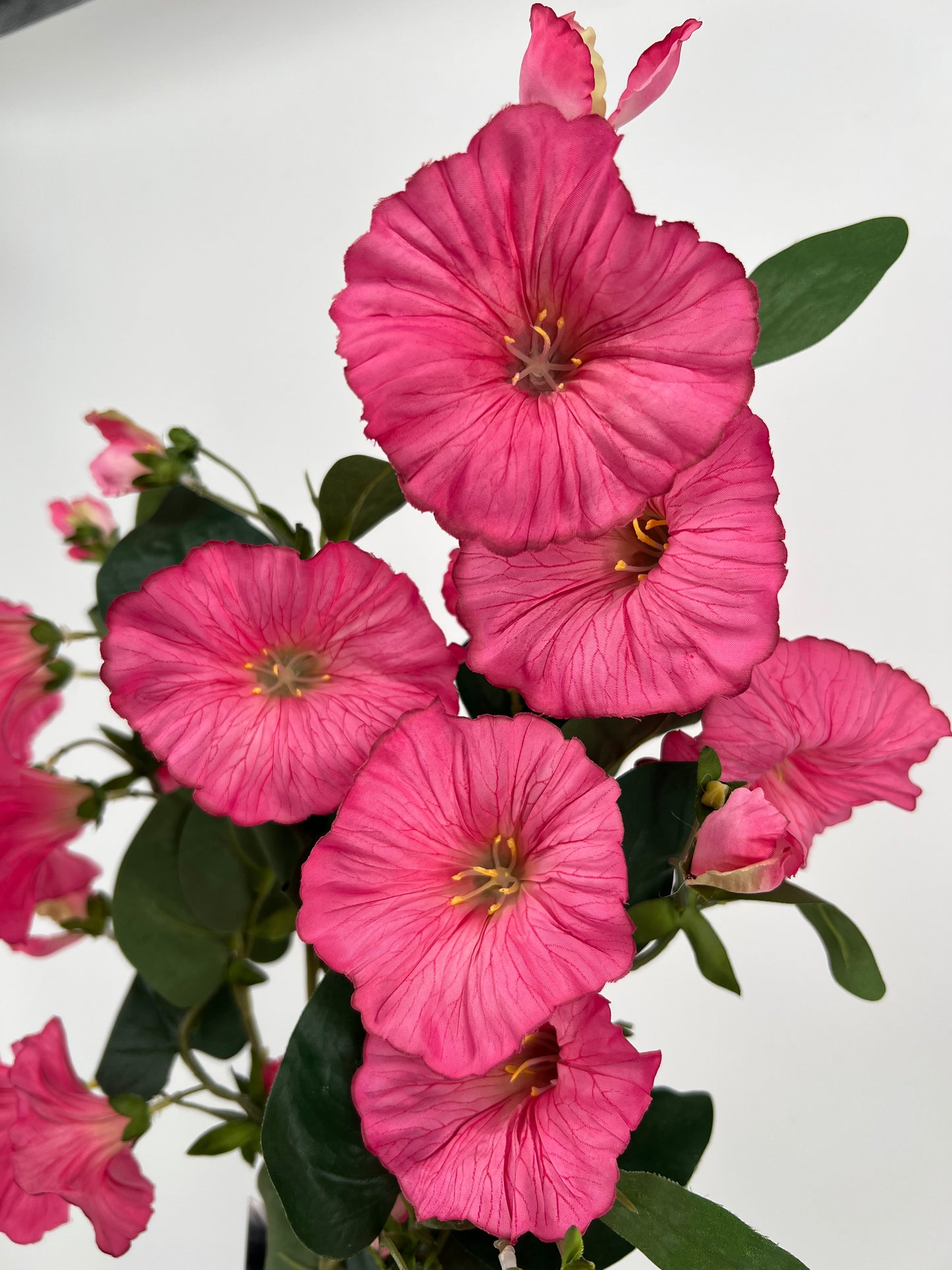 Flower morning glory bright pink, 76cm